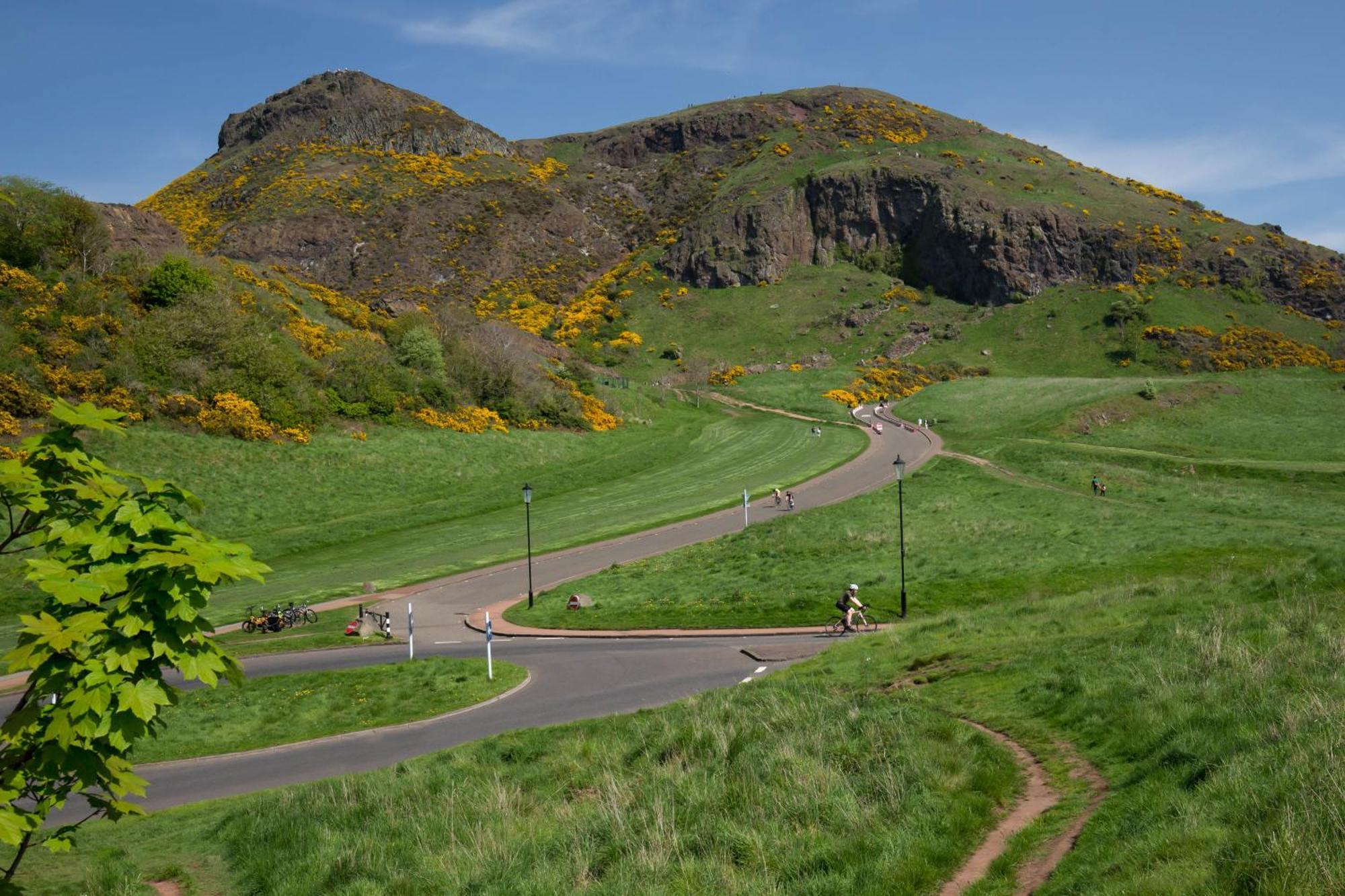Holyrood Hidden Gem Appartement